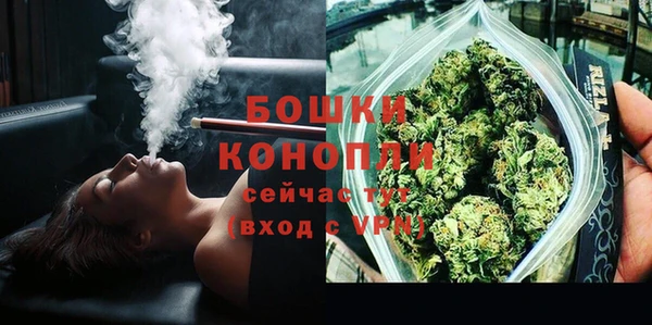 индика Горно-Алтайск