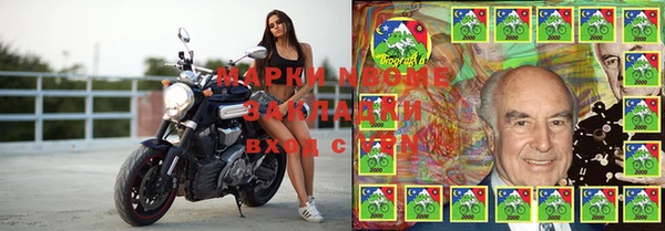 индика Горно-Алтайск