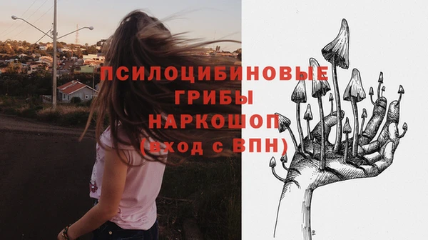 a pvp Вязьма