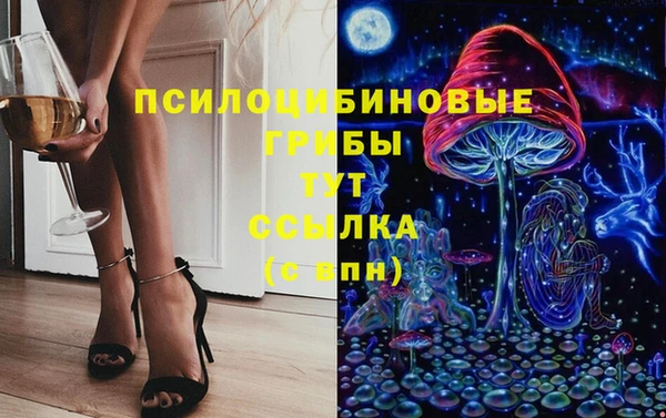 a pvp Вязьма