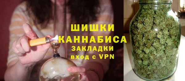 индика Горно-Алтайск