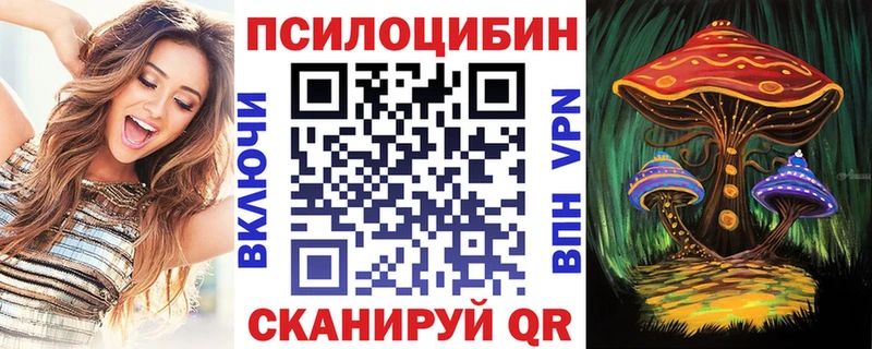 где купить наркоту  Мурманск  Псилоцибиновые грибы мухоморы 